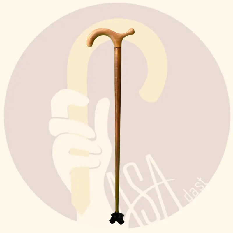 Aria Cane – Natural Handle & Brown Shaft - تصویر 2