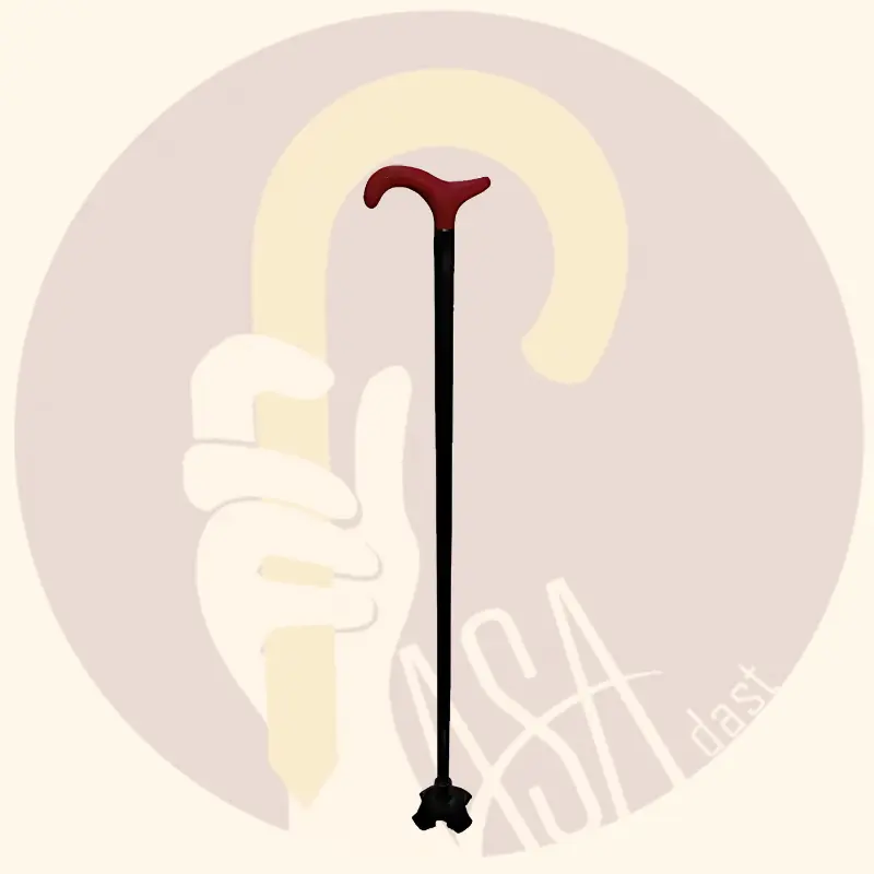 Persia Cane – Walnut Handle And Black Shaft - تصویر 2