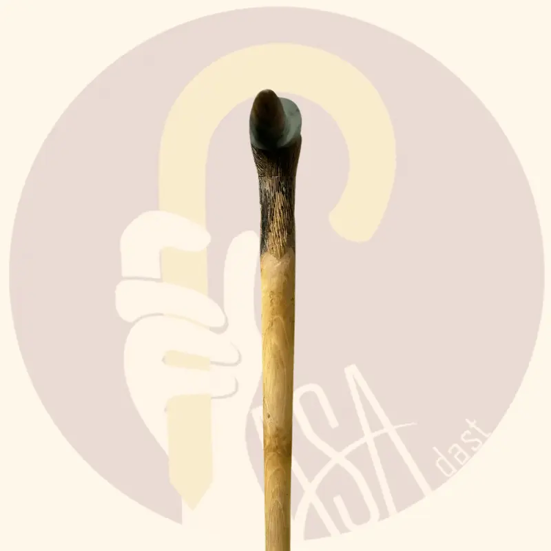 Carved Walnut Cane – Asar Model - تصویر 3