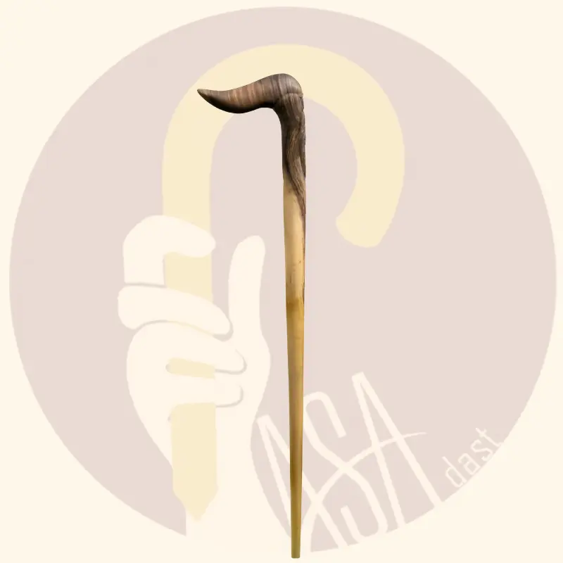 Carved Walnut Cane – Asar Model - تصویر 4